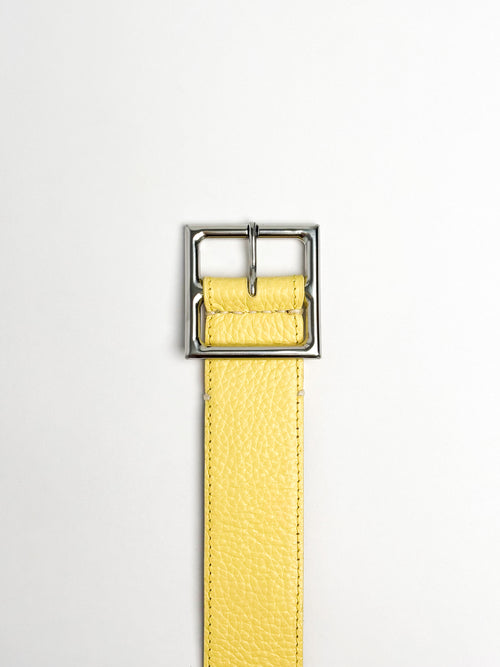 Belt in grained aniline